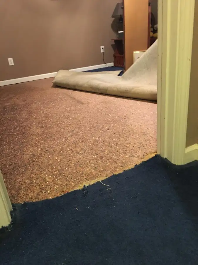 Carpet pad removal revealing water damage during Drying & Dehumidification in Sharon Hill