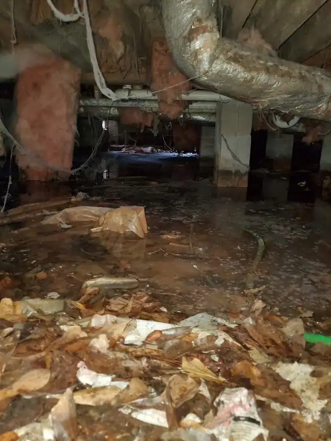 Crawl space flood assessment for Commercial Water Damage Restoration in Sharon Hill