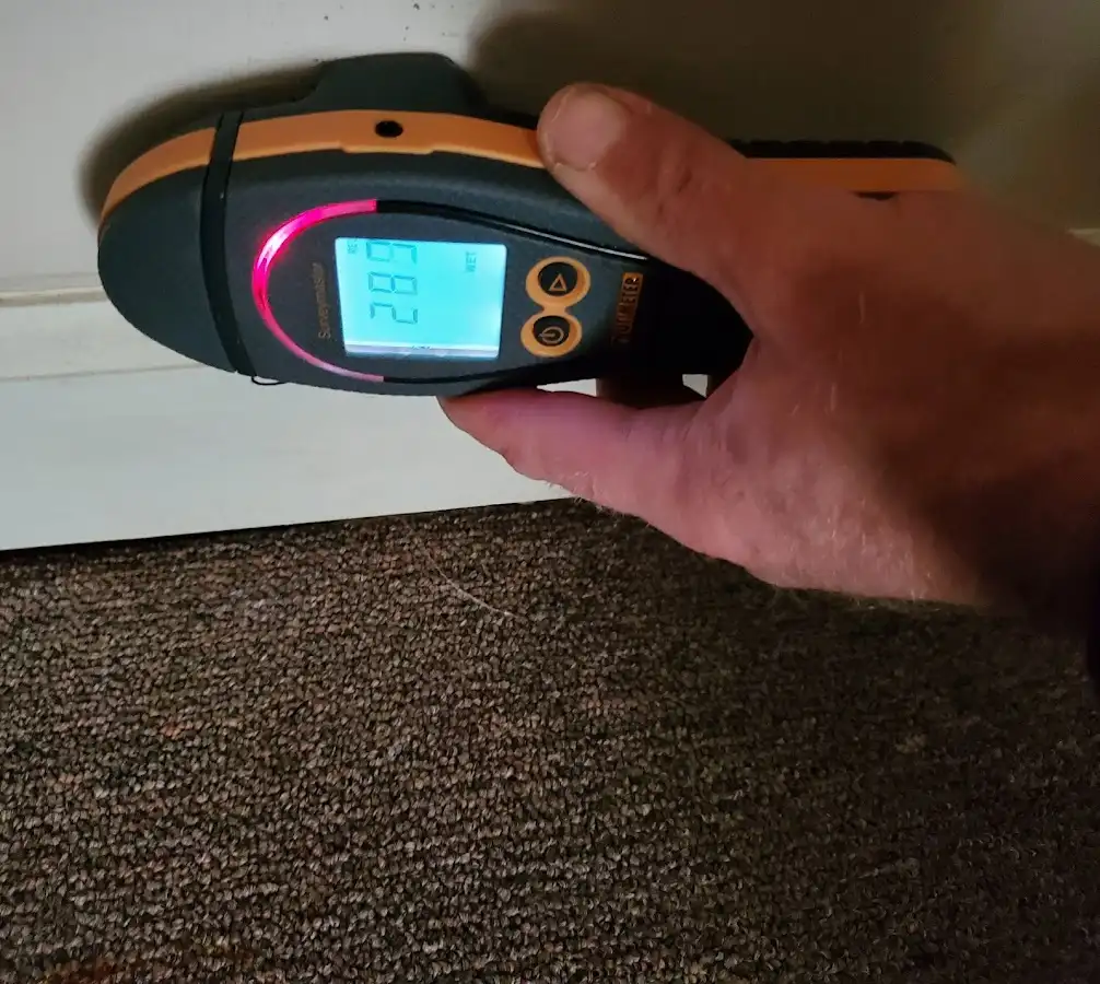 Moisture detection at baseboard during Sewage Cleanup & Sanitation in Sharon Hill